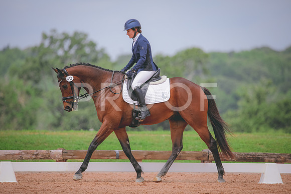 RWP_4549