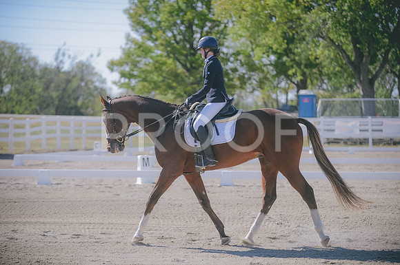 JJS_2217