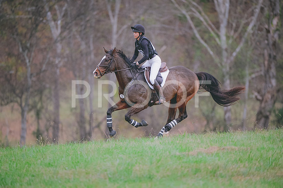 JJS_0828