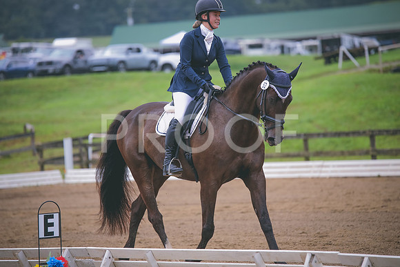 4N7A8218