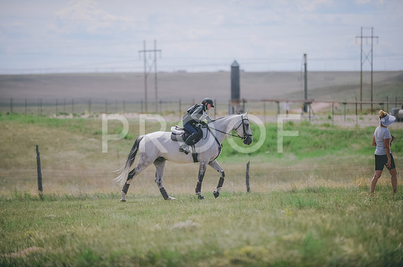 JJS_1240