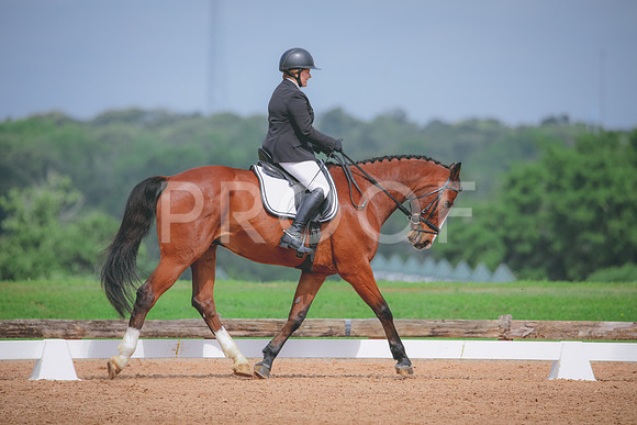 RWP_4153