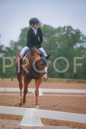 0N6A4366