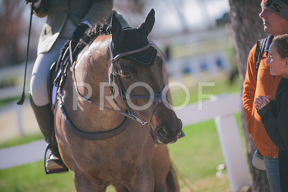 JJS_2184