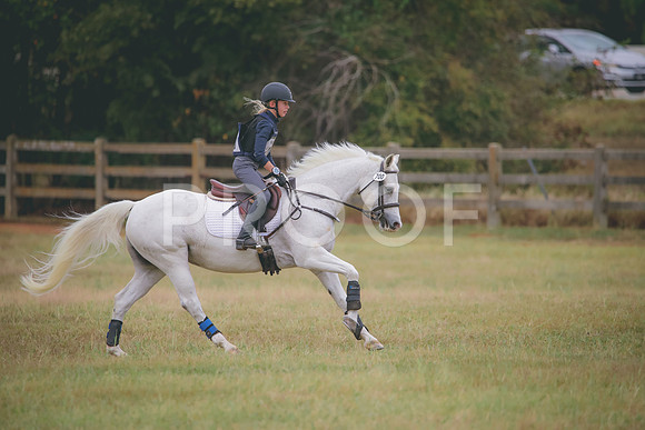 RWP_3717