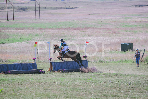 CDH_8353