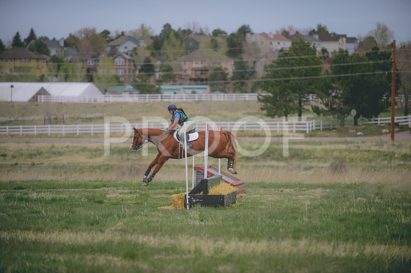 000_0528