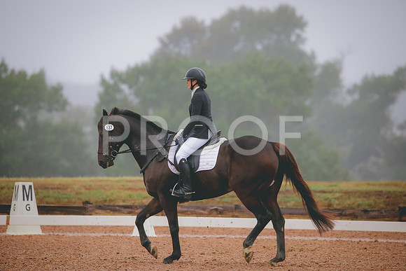 RWP_1168