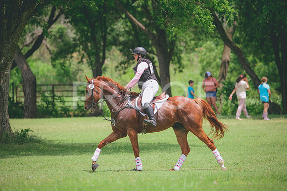 RWP_2268