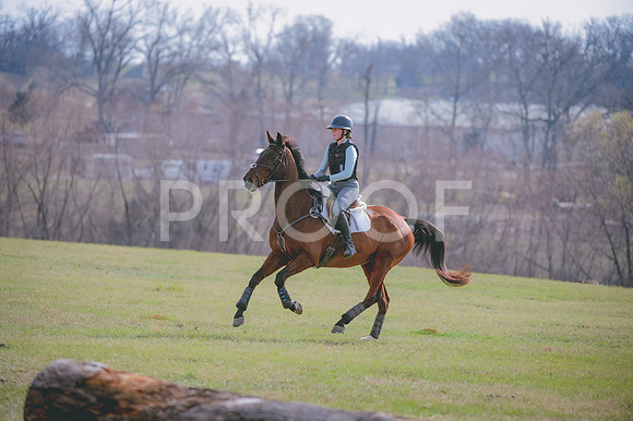 JJS_6047