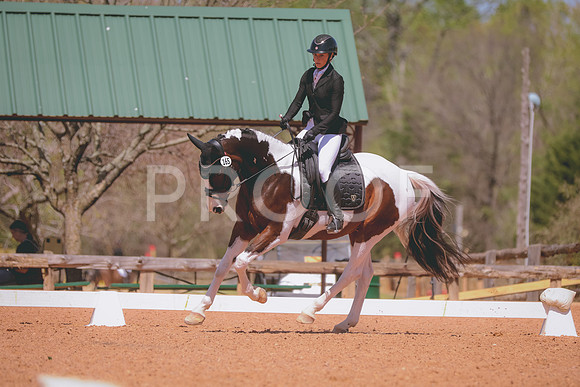 CDP_2521