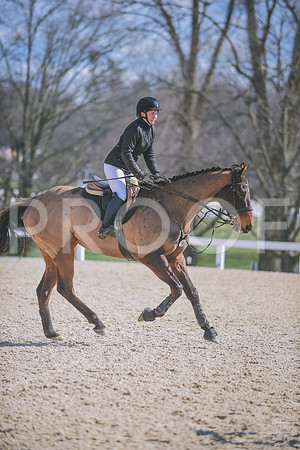 DSC_0953 copy