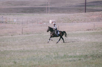 CDH_9440