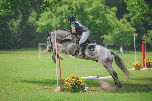 RWP_2008