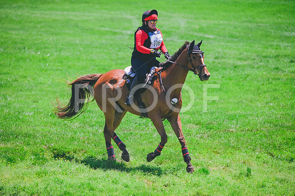 CRR_1454