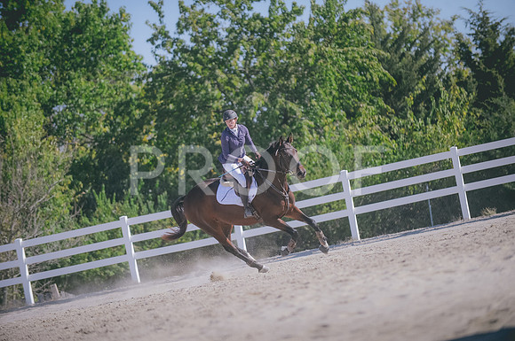 JJS_0290