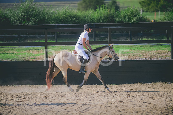JJS_6831