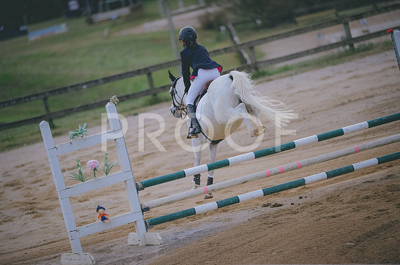 JJS_2820