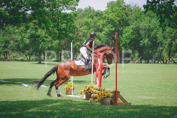 RWP_3962