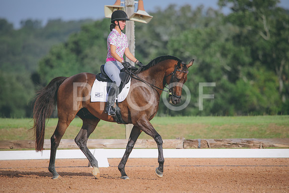 RWP_4358