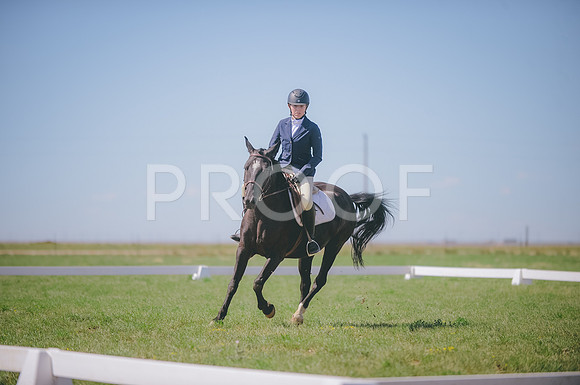 JJS_3732