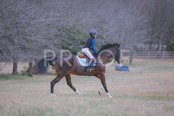 JC5_2597