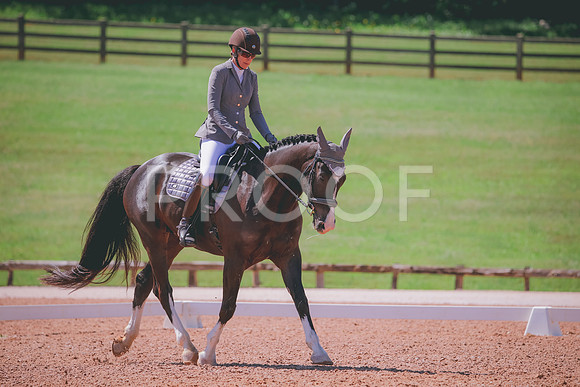 RWP_0013