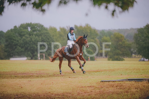 JJS_3717