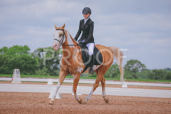 RWP_4502