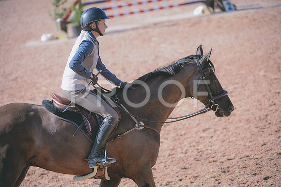 JJS_8447