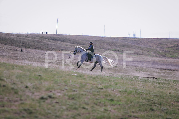 CDH_9491