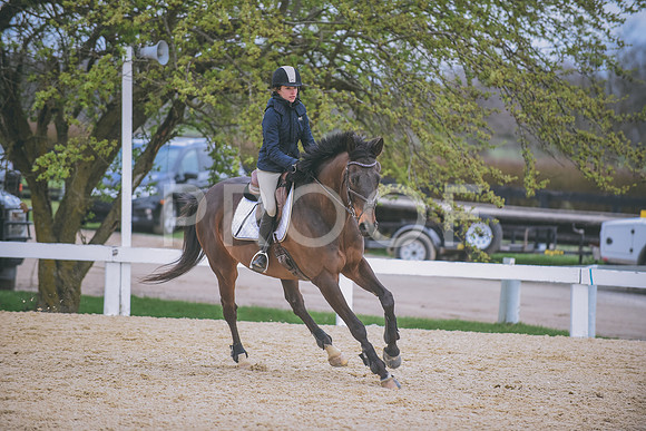 DSC_0331 copy