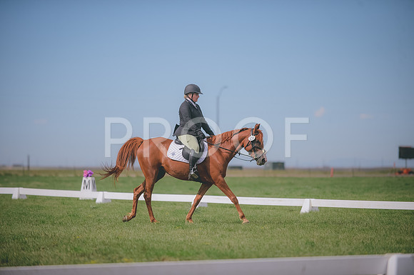 JJS_0598