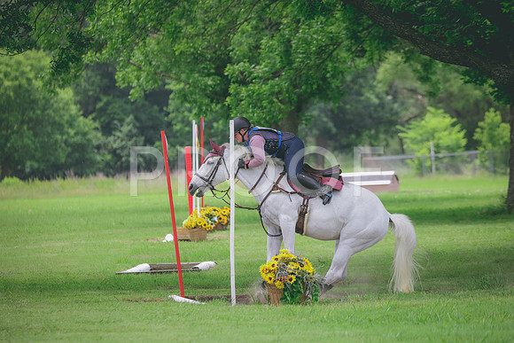 RWP_2790
