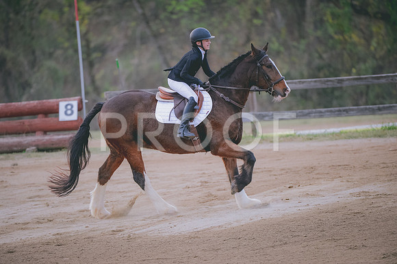 JJS_3518