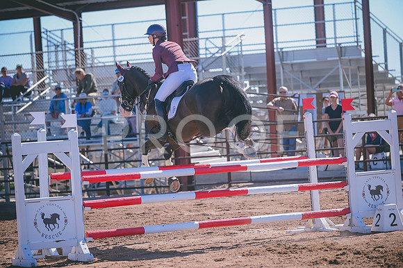 DSC_1818A
