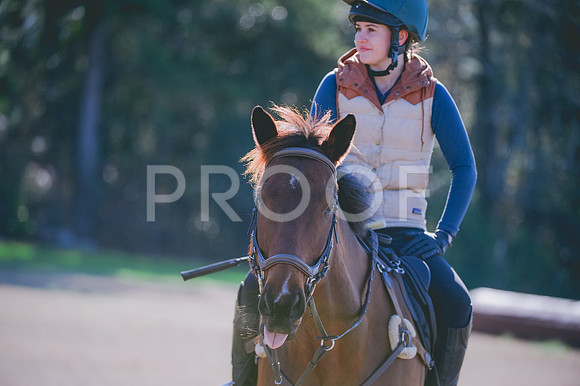 JJS_0523
