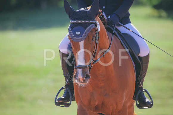 RWP_9425