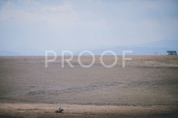 JJS_1741