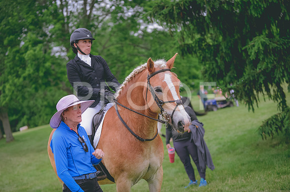 JJS_2493