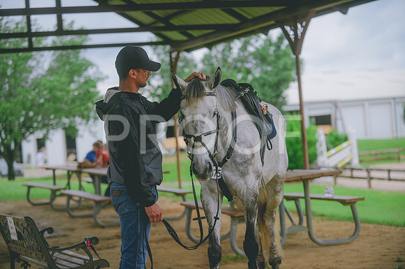000_3462 copy