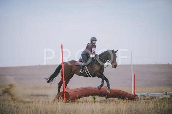 JJS_5361