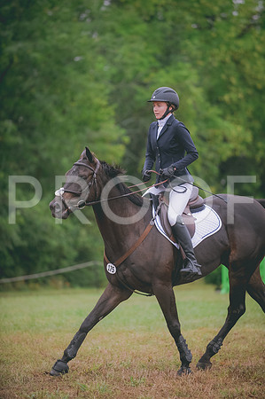 JJS_2014