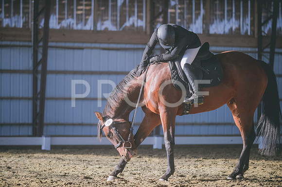 JJS_2031