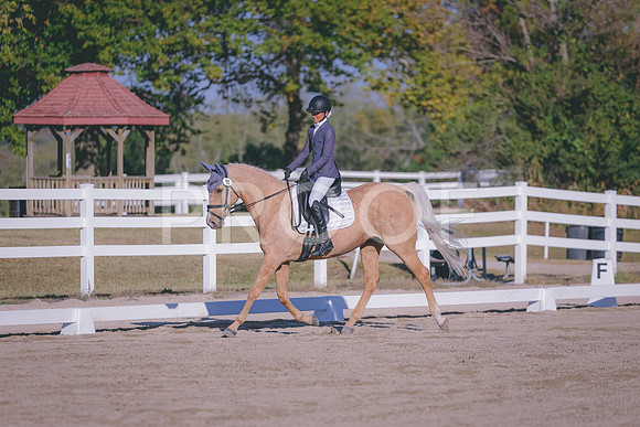 HLJ_1010