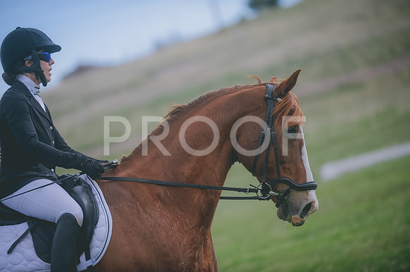 000_6777