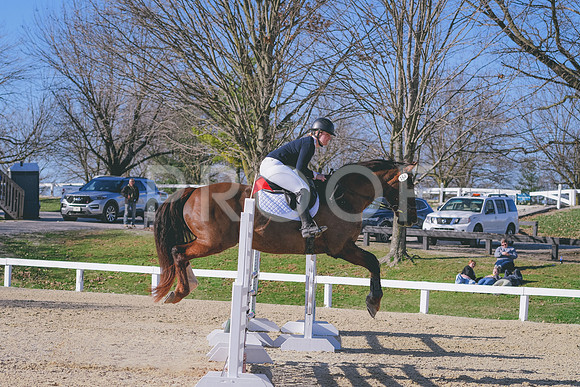 DSC_8465