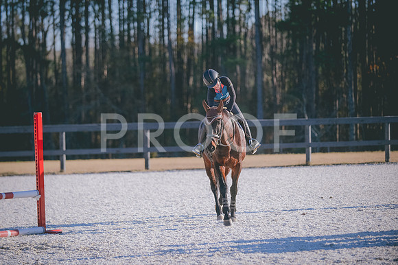 JJS_0552