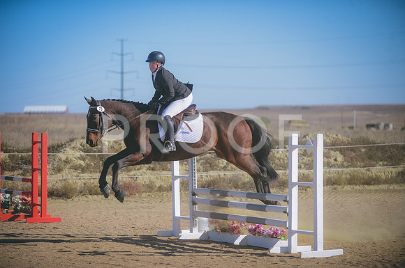 JJS_1228