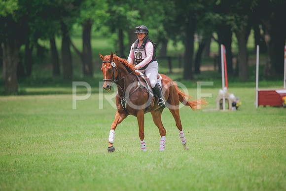 RWP_2284